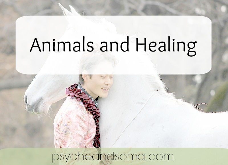 Animals & Healing: Leaders, Companions, and Way-showers