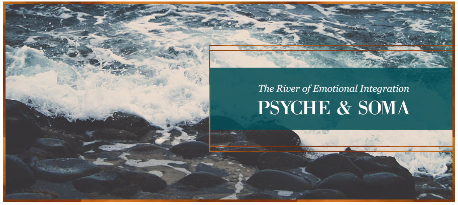 The River of Emotional Integration