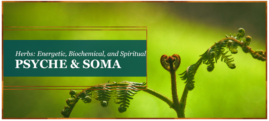 Energetic, Biochemical, and Spiritual Realities of Herbs
